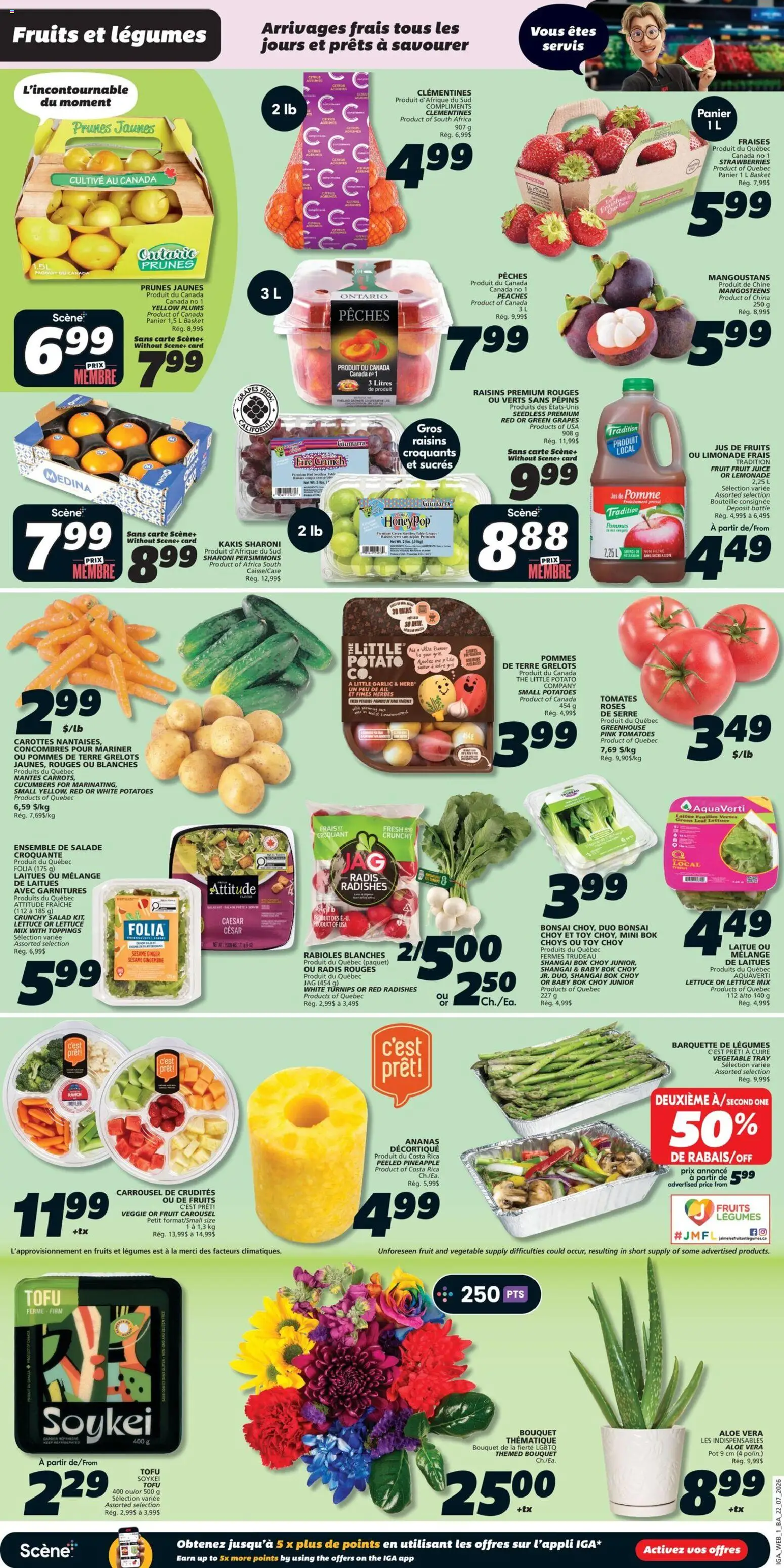 IGA flyer valid from Jul 23, 2026 | Page: 3 | Products: Tofu, Aloe vera, Raisins, Grapes