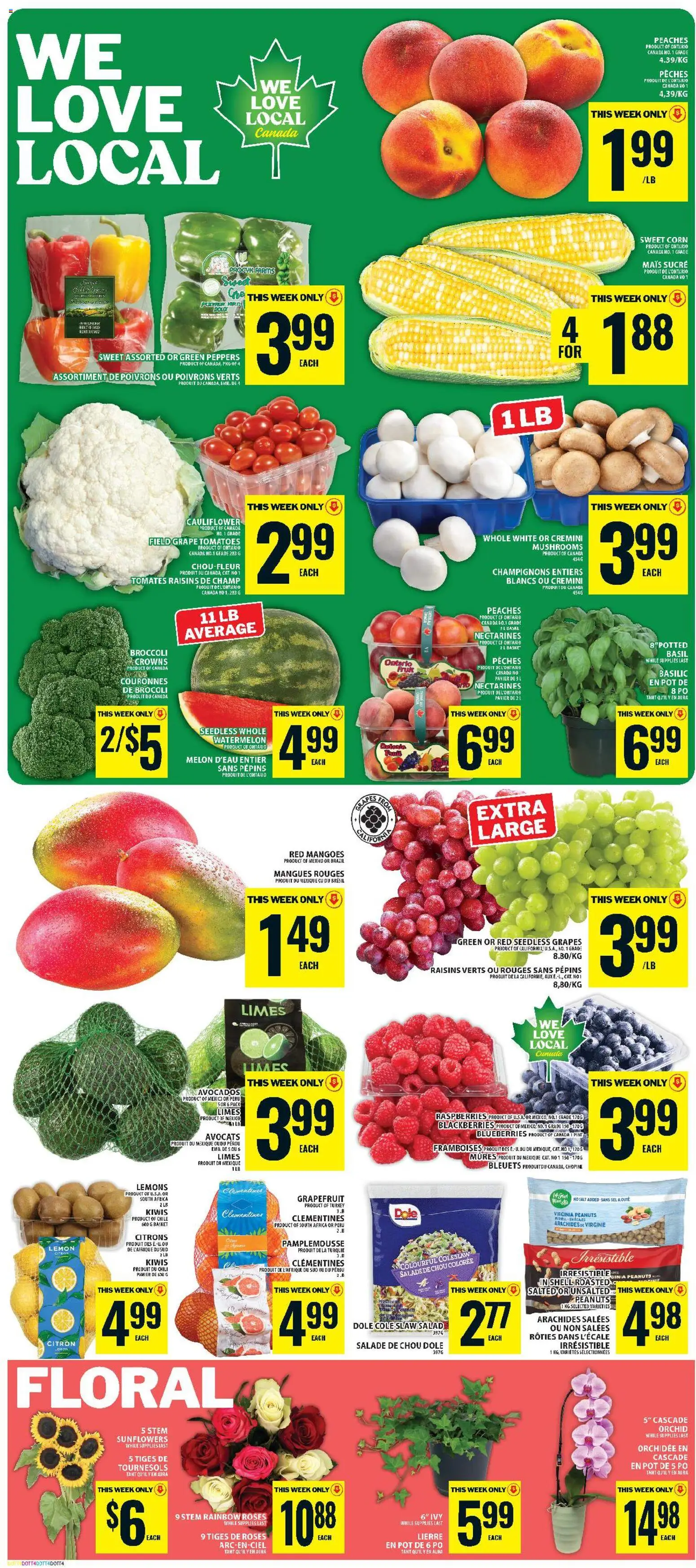 Food Basics flyer valid from Aug 13, 2026 | Page: 3 | Products: Salad, Raisins, Corn, Orchid