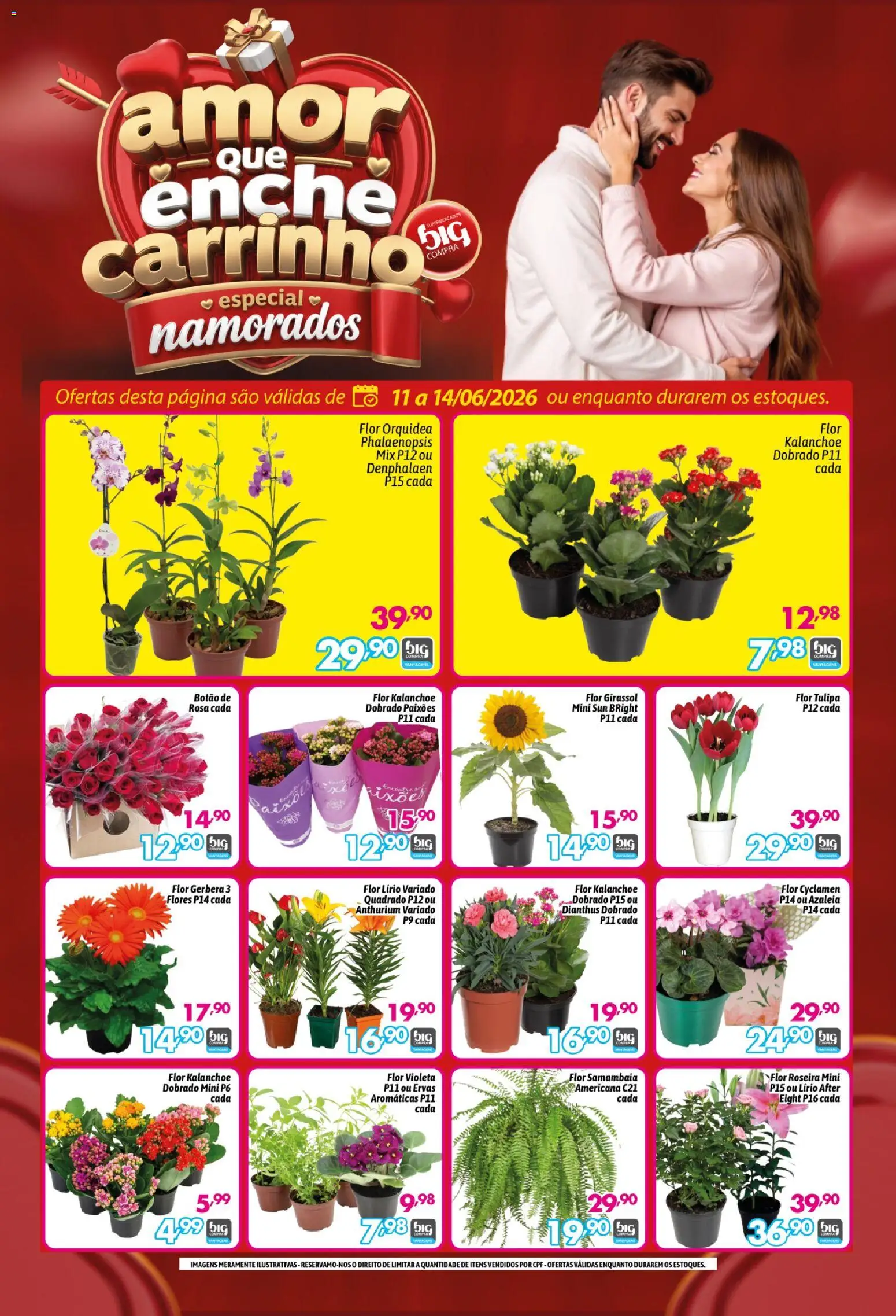 Big Compra Folheto - válido de 11.06.2026 | Página: 1 | Produtos: Denphalaen, Flores