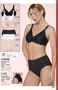 Ofertas Lady Genny válido desde el 09.02.2026 | Página: 89 | Productos: Cuadro, Sostén