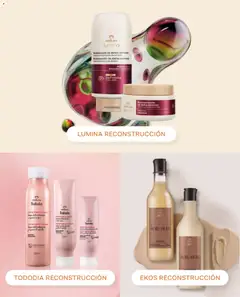 Natura Ofertas  válido desde el 01.05.2026 | Página: 145 | Productos: Mascarilla, Pollo, Shampoo