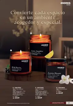 Vista previa de Andrea catálogo Lo mejor para tu hogar, nuevo folleto de la tienda, válido en México a partir del 21/06/2026 | Página: 31