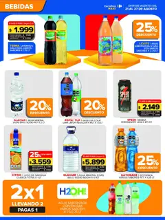 Vista previa Carrefour Maxi catálogo válido desde el 21/08/2026 | Página: 2