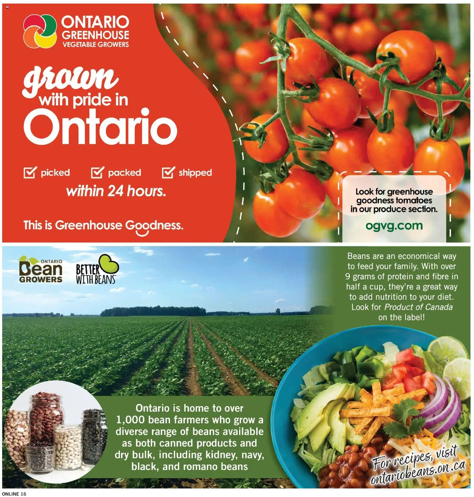 Fortinos flyer valid from Aug 13, 2026 | Page: 15 | Products: Beans, Protein, Tomatoes